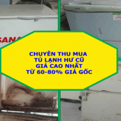 Thu Mua Tủ Lạnh, Tủ Đông, Tủ Mát Hư Cũ Giá Cao - Thu 60-80% Giá Gốc